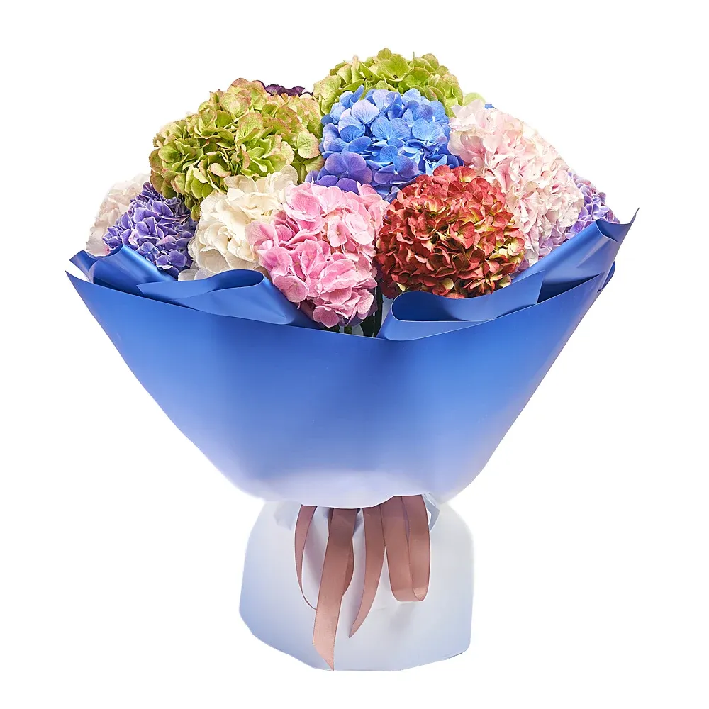 Моно букет из 15 разноцветных гортензий